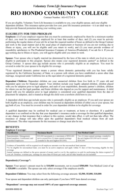 Voluntary Term Life Insurance Program