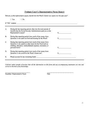Probate Court’s Representative Payee Report