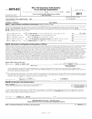 IRS Form 8879-EO Signature Authorization