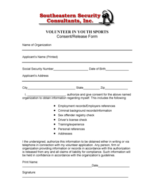 Volunteer Youth Sports Consent Release Form