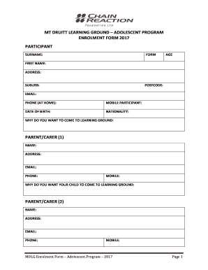 Form preview