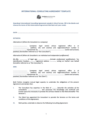 International Consulting Agreement Sample Template. International Consulting Agreement Sample Template