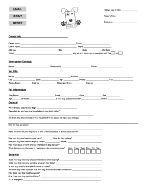 Form preview
