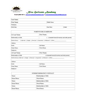 Form preview