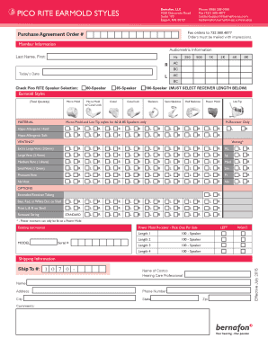 Form preview picture