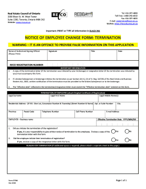 Form preview picture