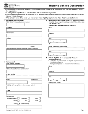 Form preview picture