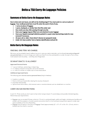 Fillable Online Delta &amp; TSA Carry-On Luggage Policies - lcmst.org Fax ...