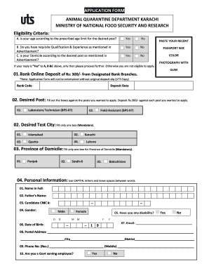 Form preview picture