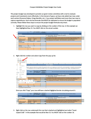 Research budget sample - Project Budget Template User Guide - Freeport-McMoRan Foundation