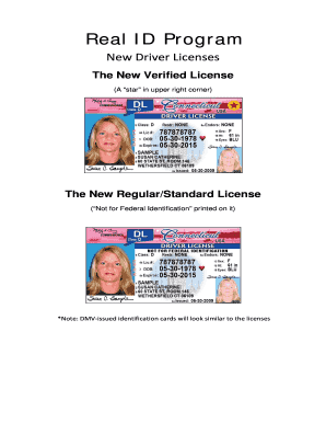 Fillable Online Real ID Program Fax Email Print - pdfFiller