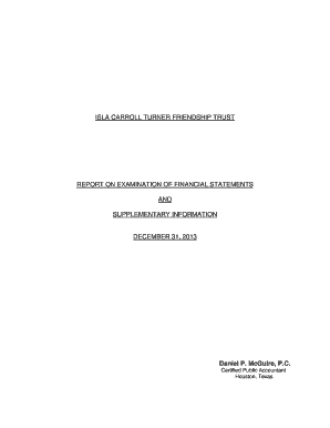 Compliance audit report template excel - Worksheet in 2013 Audit Report Template - Statement of changes in Fund Balance 2013 in FileCabinet CS