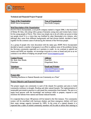 Technical and Financial Project Proposal Template