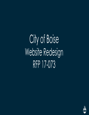 Website redesign proposal - RFP 17-073 Boise Website Design (E)