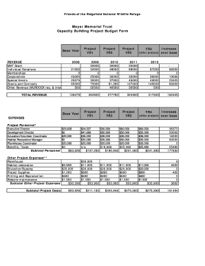 Meyer capacity building project budget template - Friends of the ...