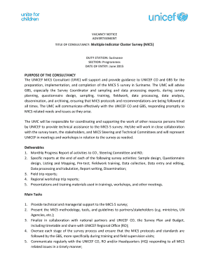 Fillable Online TITLE OF CONSULTANCY: Multiple Indicator Cluster Survey