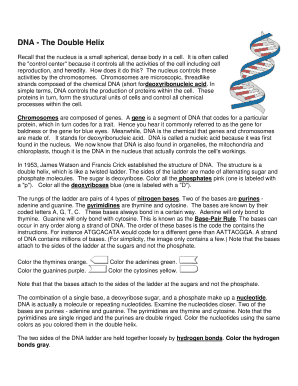 Fillable Online DNA,RNA, Replication handout Fax Email Print - pdfFiller