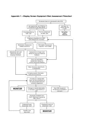 Display Screen Equipment Risk Assessment Flowchart MONITOR ...
