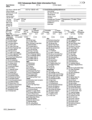 Form preview picture