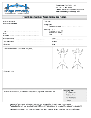 Form preview picture