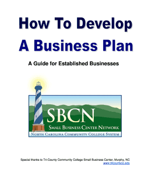 Business Plan for Established Business