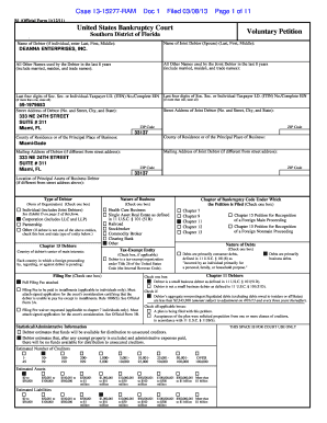 US Bankruptcy Court Voluntary Petition