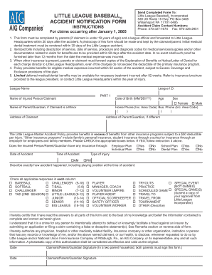 Form preview picture