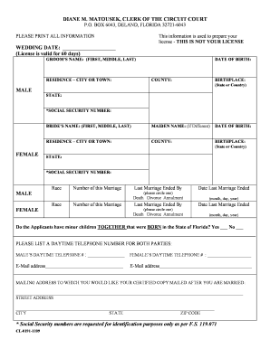 Florida Marriage License Application