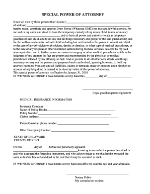 Special Power of Attorney for Minor Child Custody