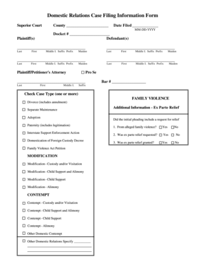 Domestic Relations Case Filing Information Form