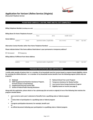 Verizon Lifeline Service Application (Virginia)