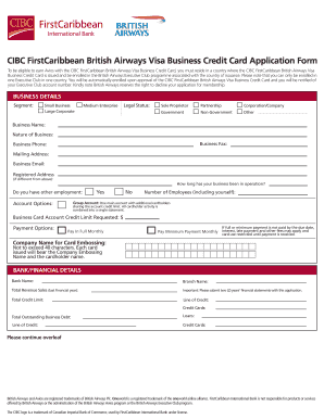 visa credit application