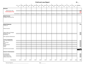 Profit and Loss Report Template