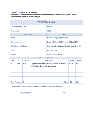 Sample Commercial Invoice COMMERCIAL INVOICE - Galaxy ...