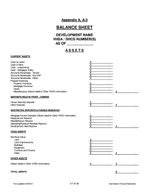 VHDA Balance Sheet Template