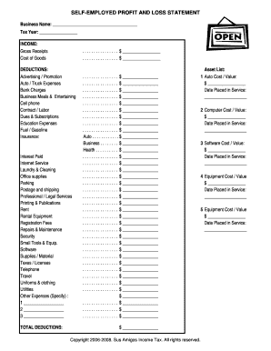 Self-Employed Profit and Loss Statement