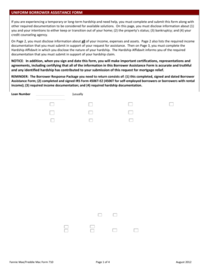Uniform Borrower Assistance Form
