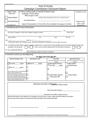 Georgia Campaign Contribution Disclosure Report