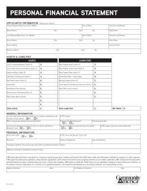Personal Financial Statement Form