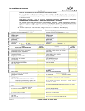 Personal Financial Statement for Credit Application