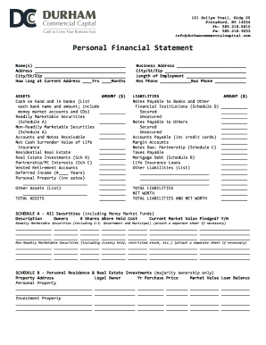 Personal Financial Statement Form