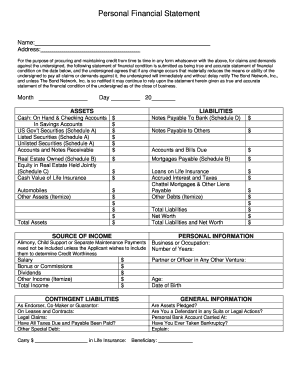 Personal Financial Statement Form