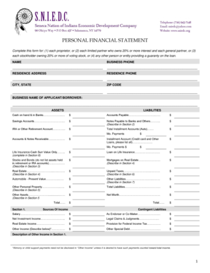 Personal Financial Statement Form