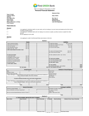 Personal Financial Statement Form