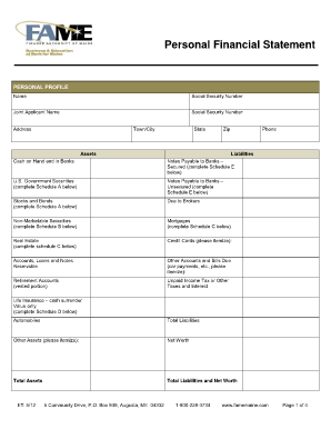 Personal Financial Statement Form