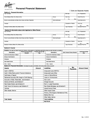 Personal Financial Statement Form