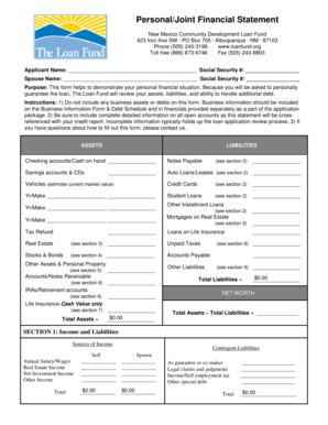 Personal Financial Statement Form