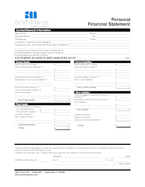 Personal Financial Statement Form