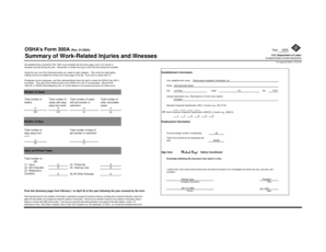 OSHA Form 300A Summary of Work-Related Injuries and Illnesses