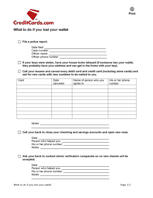 Lost Wallet Action Plan